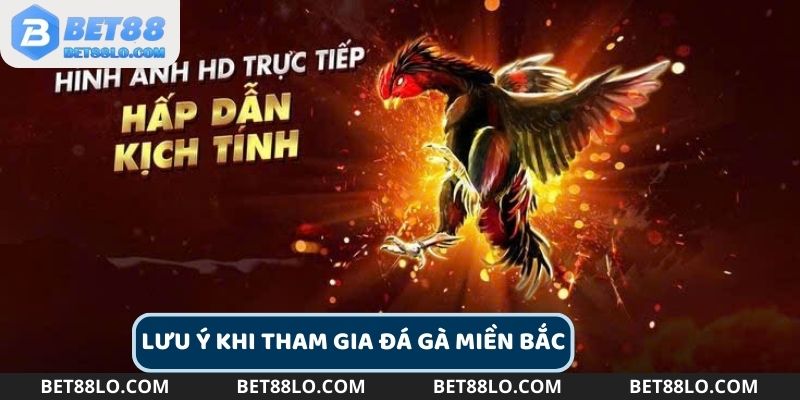 Nắm vững các lưu ý khi chơi