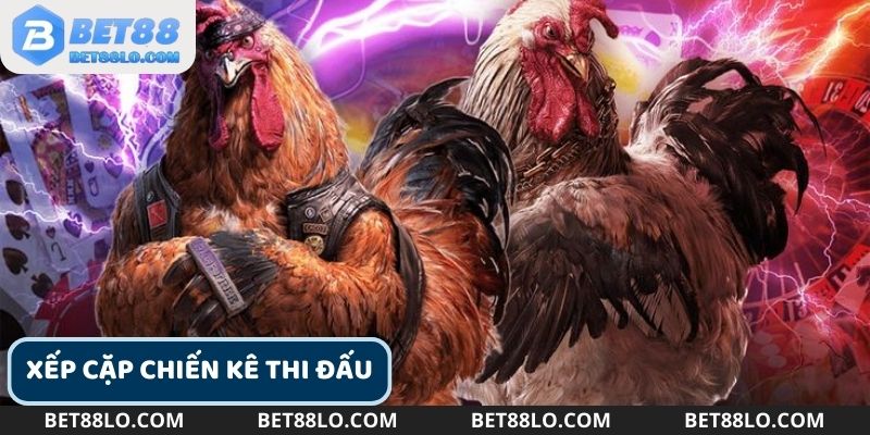Xếp cặp thi đấu là bước đầu tiên để bắt đầu quy trình