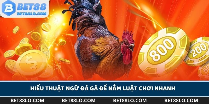 Hiểu thuật ngữ đá gà để nắm luật chơi nhanh