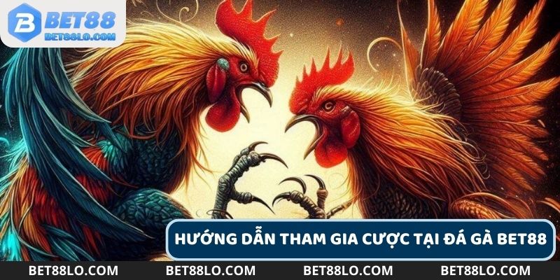 Hướng dẫn đăng ký tham gia trang đá gà uy tín Bet88