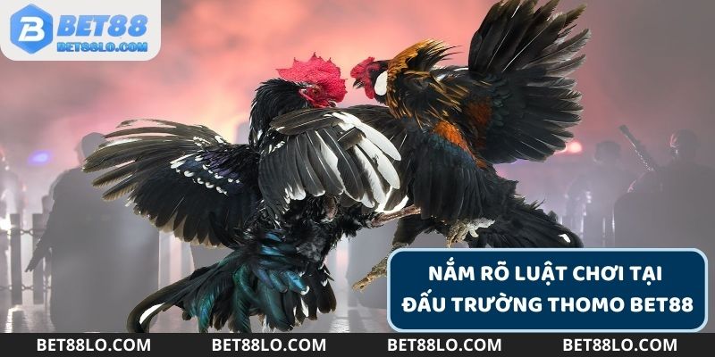 Nắm rõ luật chơi và tỷ lệ cược khi tham gia dự đoán kết quả