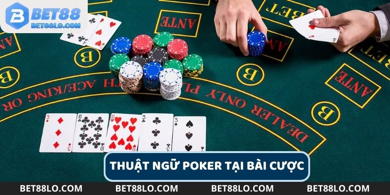 Thuật ngữ Poker tại bài cược