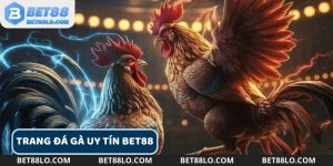 Trang Đá Gà Uy Tín Bet88